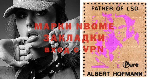 гидра Надым