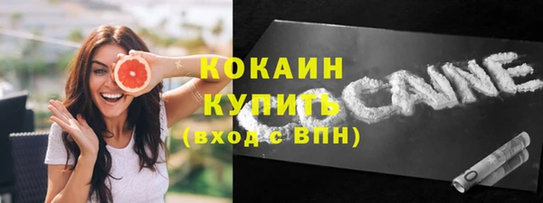 гидра Надым
