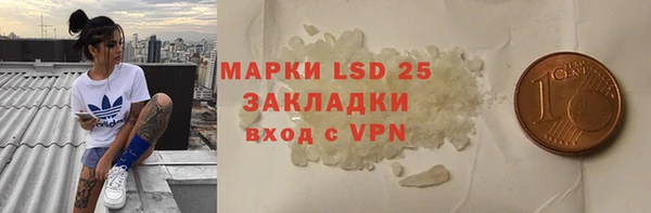 гидра Надым