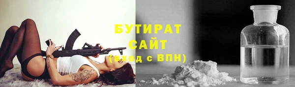 гидра Надым