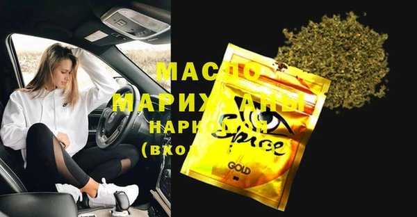гидра Надым