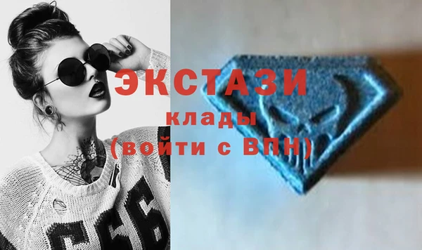 гидра Надым