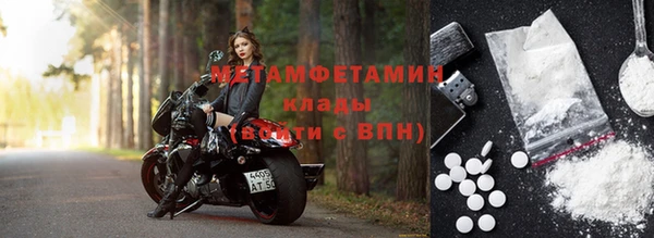 гидра Надым